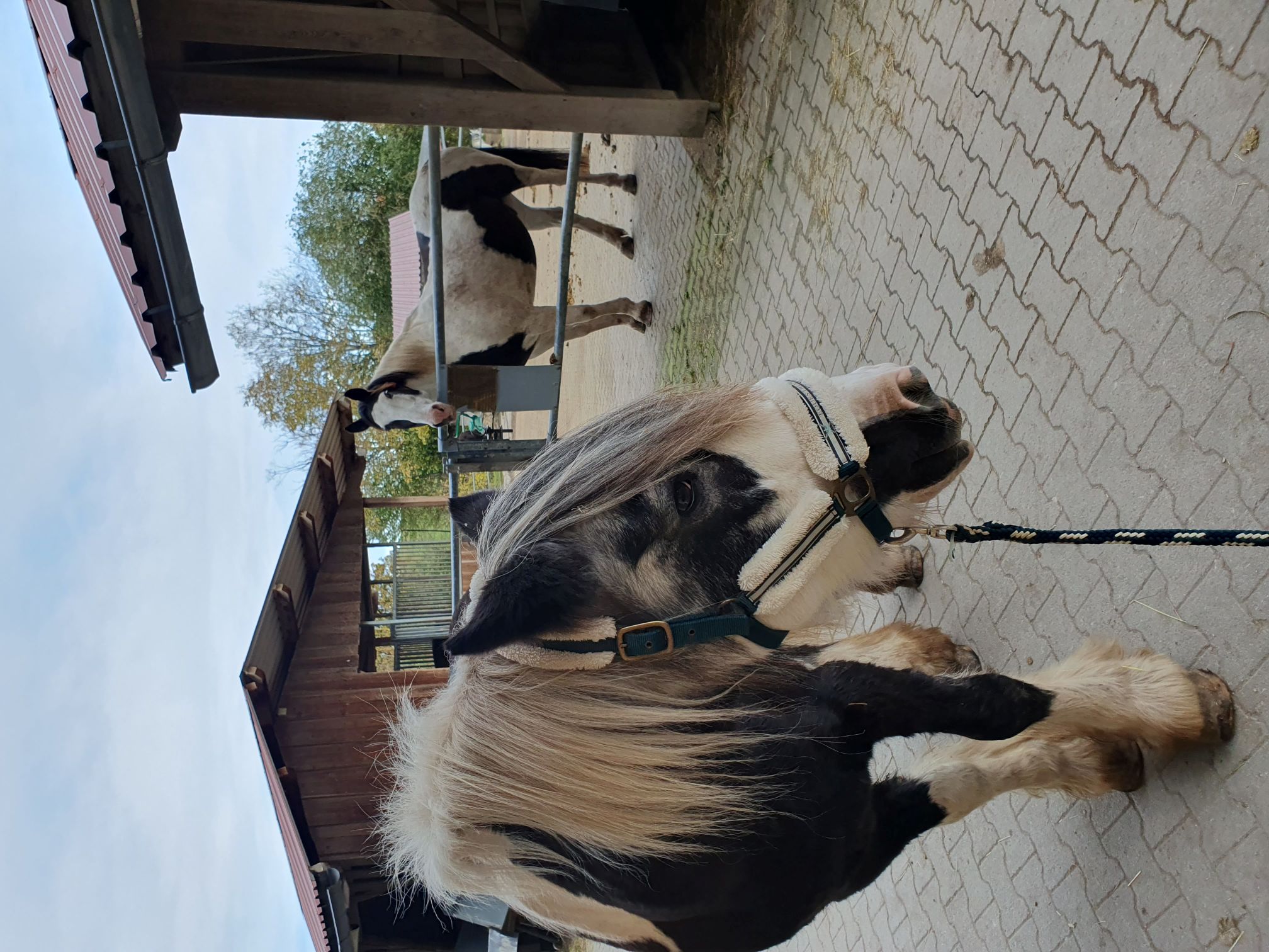 2023 11 November 560